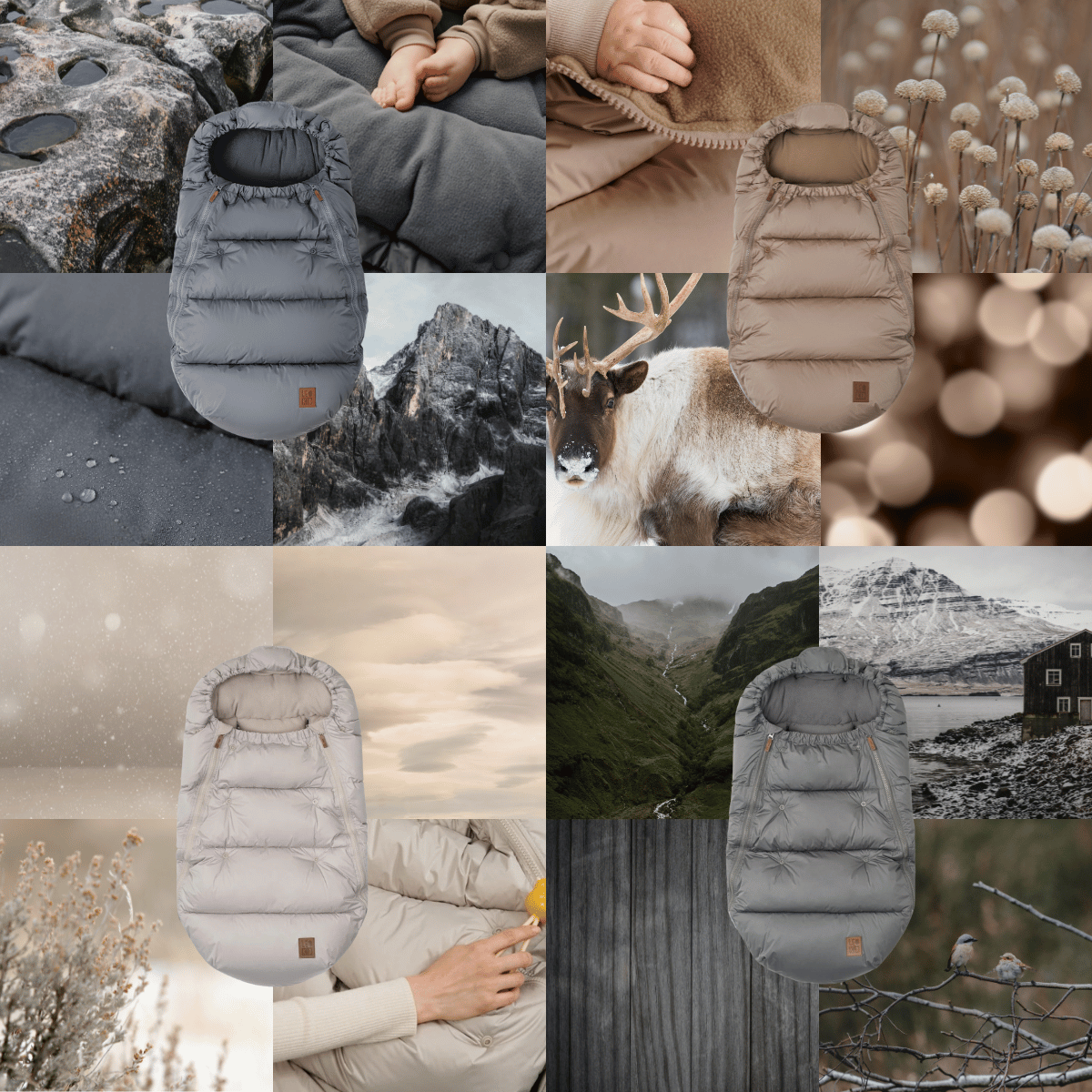 BLOG - fotka v článku - 2026-01-05T090557.532